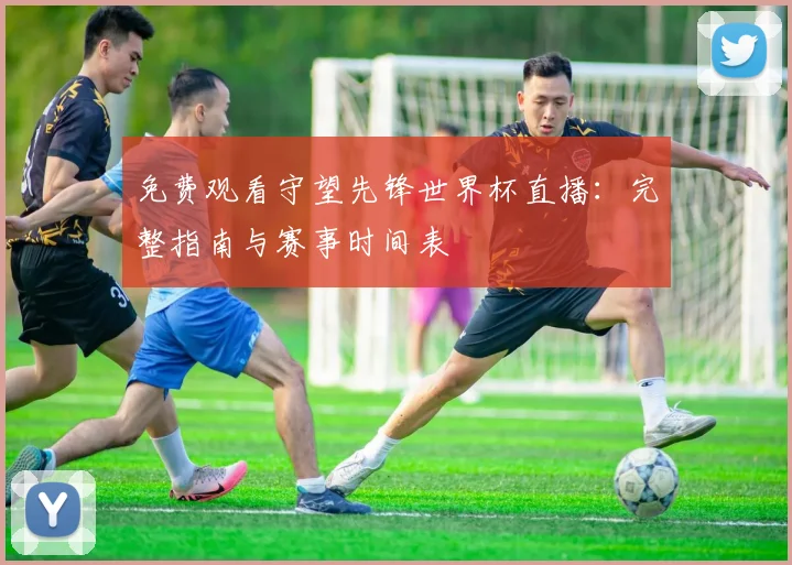 免费观看守望先锋世界杯直播：完整指南与赛事时间表